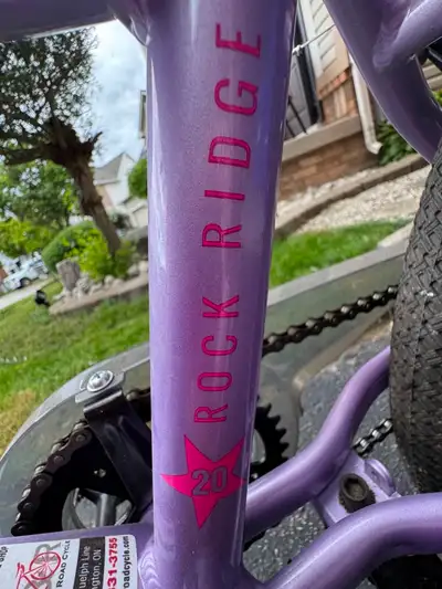 EVO Girls Rock Ridge 20-in wheel bike, View more