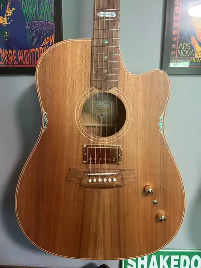 Cole Clark FL2EC- LS-BLBL- HUM, View more