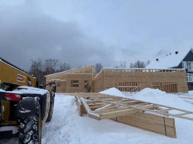Framing carpentry557016871003770881