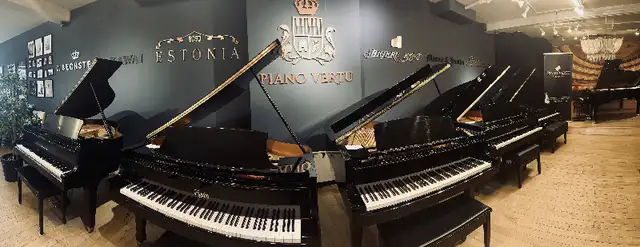 Magnifiques pianos à queue d'occasion certifiés - Piano Vertu in Pianos & Keyboards in City of Montréal - Image 4