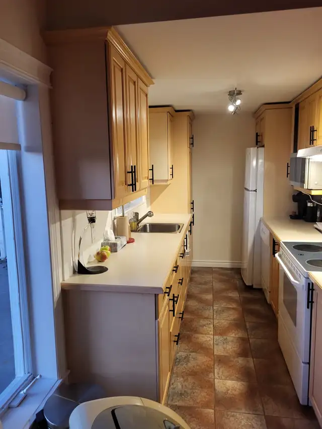 ile d’Orléans  4 1/2 avec SUPERBE VUE SUR LE FLEUVE in Long Term Rentals in Québec City - Image 5