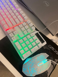 Keyboard and Mouse Set (Wired)