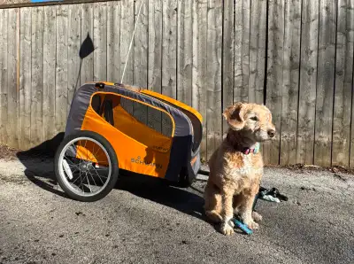Schwinn Rascal Dog Bike Trailer - Bike with Your Dog, View more