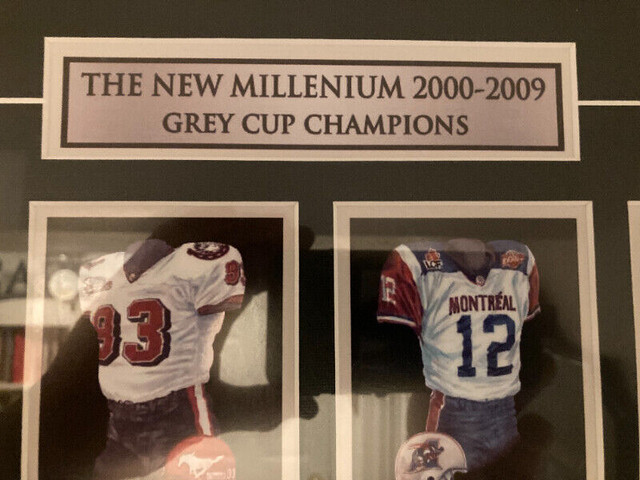 Grey Cup Commemorative Picture of 2000's Winners in Arts & Collectibles in Mississauga / Peel Region - Image 2
