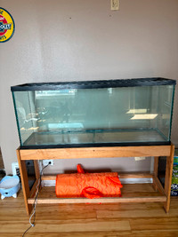 50 gallon fish tank or terrarium with stand