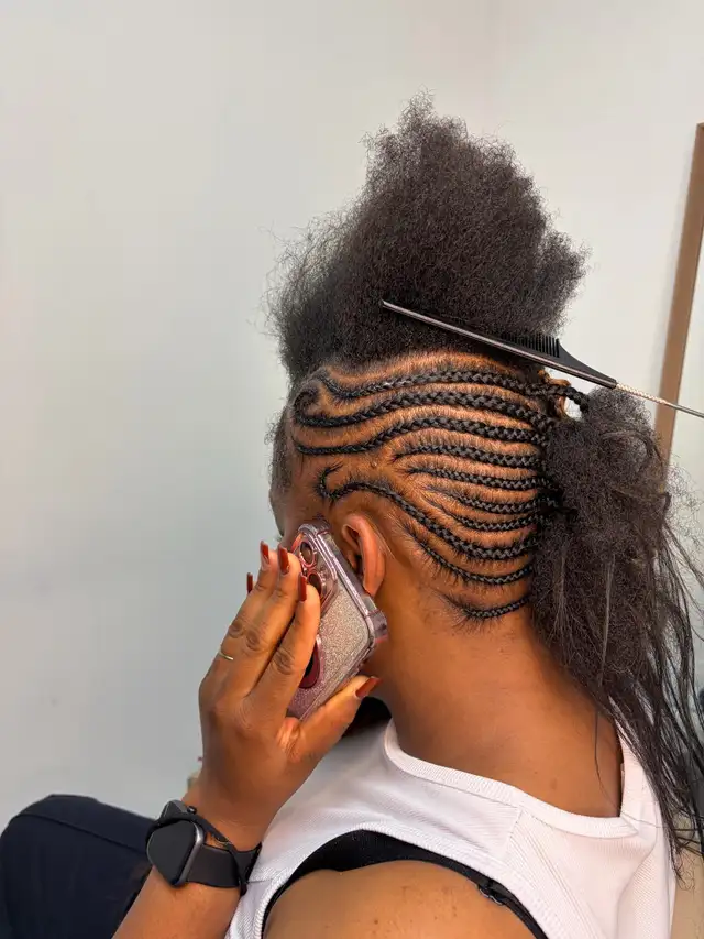 African Braids573776335293665284