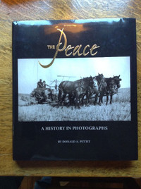 The Peace  A History in Photographs by Donald Pettit