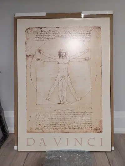 Da Vinci - Large Laminated Plaque, View more