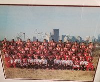 1993 Calgary Stampeders Autographed Team Framed Photo