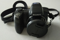POUR PIÈCES SEULEMENT Caméra Sony Cybershot DSC-HX1