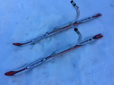 CHARIOT STROLLER/BIKE TRAILER SKIS, View more