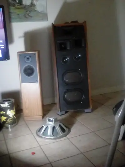 They include 2 midrange coils and capacitors for tweeters they were connected to my 3 way kef speake...
