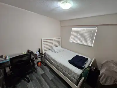 Looking for a clean, respectful male tenant for a bright, furnished, and private bedroom on main flo...