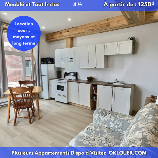 APPARTEMENT MEUBLÉ-TOUT INCLUS 2 CHAMBRES 4 1/2 CENTRE VILLE