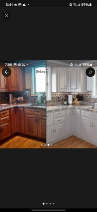 Kitchen cabinet and house painting 