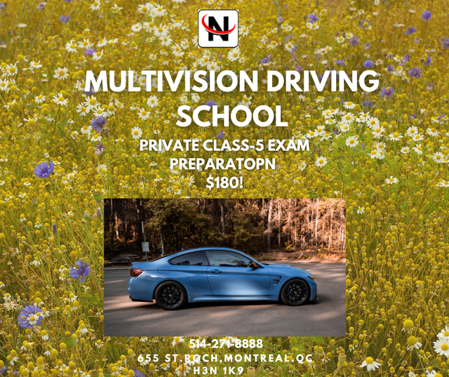 PRIVATE DRIVING LESSONS (PRIVATE CAR SESSION)470040966867855362