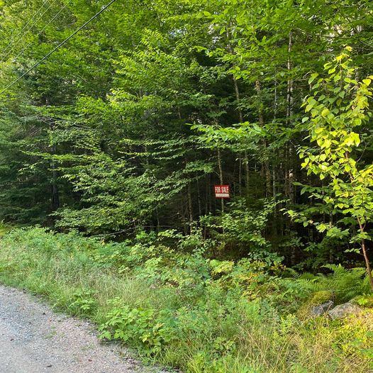 1.4 acre lot in Butler Lake Community, NS, Lunenburg County in Land for Sale in City of Halifax - Image 3