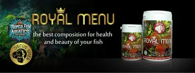 large and XL granules great for medium to large fish Granules: 130 grams Flakes: 50 grams Food is fr...