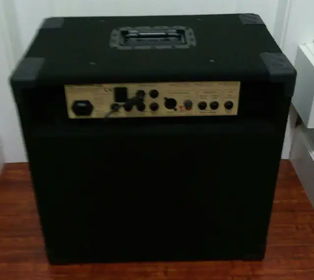 EDEN Custom Bass Combo with 2 EDEN Bass Cabinets in Amps & Pedals in Vancouver - Image 9