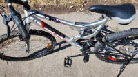 Dual suspension bicycle 