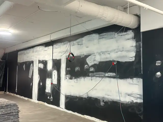 professional painter580577054226524162