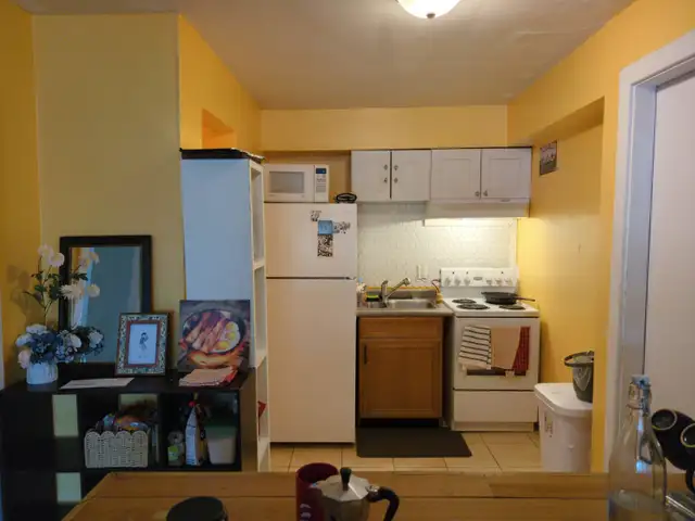 Private Room in Quiet Queer Creative Home – Bathurst & Dundas in Room Rentals & Roommates in City of Toronto - Image 3