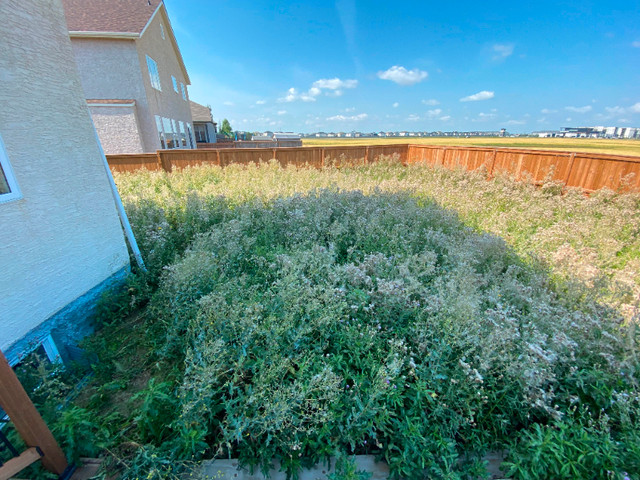 Gemini Landscaping in Lawn, Tree Maintenance & Eavestrough in Winnipeg - Image 4