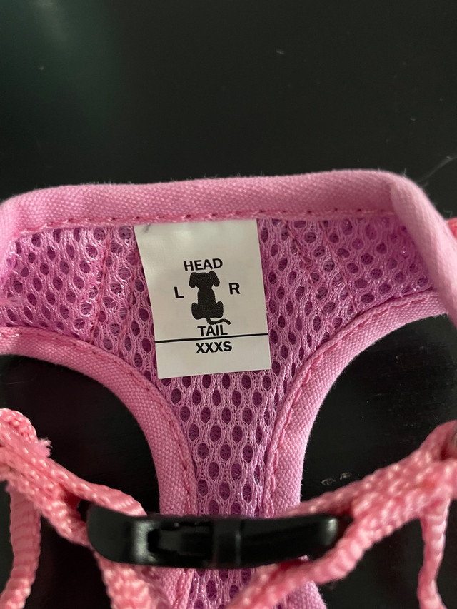 Xxxs dog harness in Accessories in Trenton - Image 3