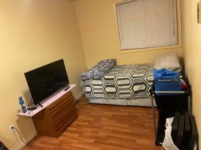 room for rent brampton (647)2054966