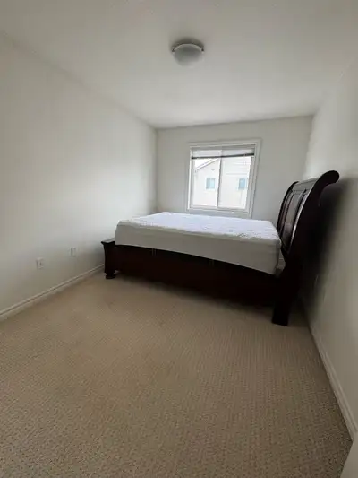 Looking for Male student or young professional. Can move anytime after Dec 1, its by Southend of Gue...