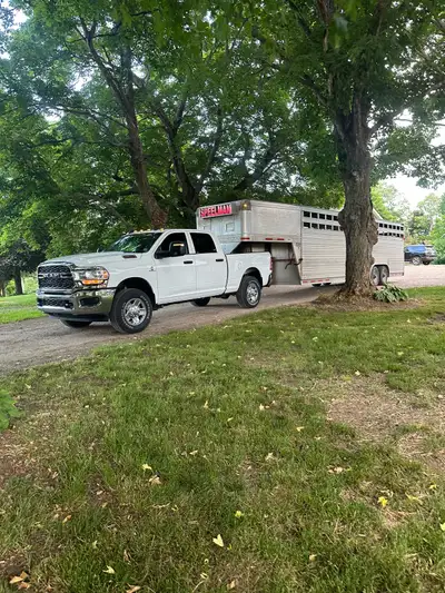 Livestock transportation , View more