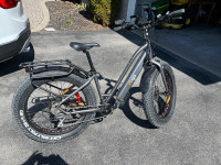 Fat Tire E-bike