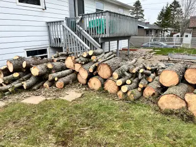 Got Projects? Free Pine Logs Here, View more