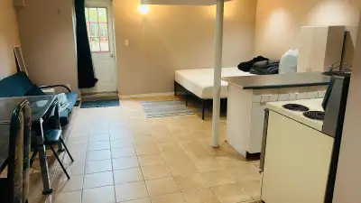 Walkout Basement Studio - Mavis / Matheson - Available right now
