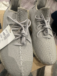 Adidas Yeezy Boost 350 V2 CMPCT Slate Blue Size 5.5 (DS/ Brand New) Ships  ASAP