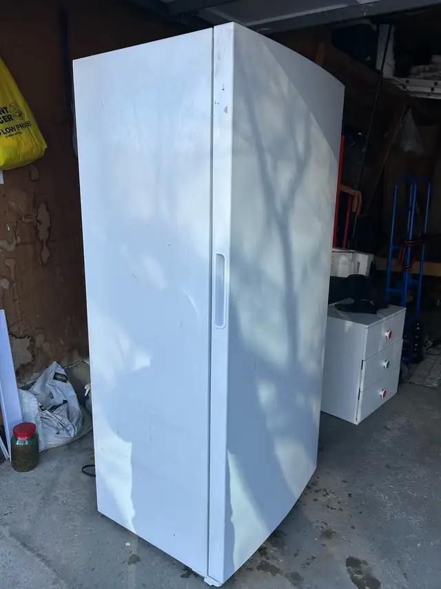 upright freezer 419781855035402241