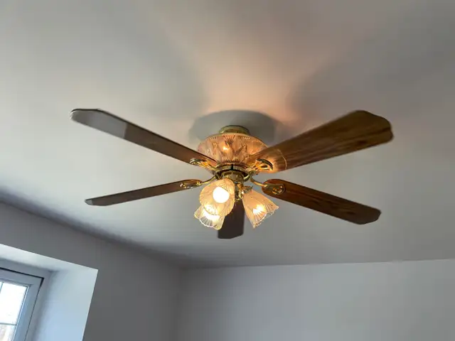 Ceiling fan in Indoor Lighting & Fans in Belleville - Image 3
