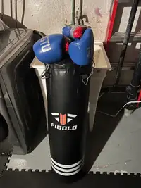 Figolo Punching Bag Professional Adult & 16 OZ Boxing gloves