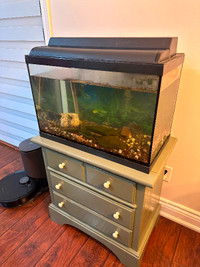 Fish with fish tank and cabinet