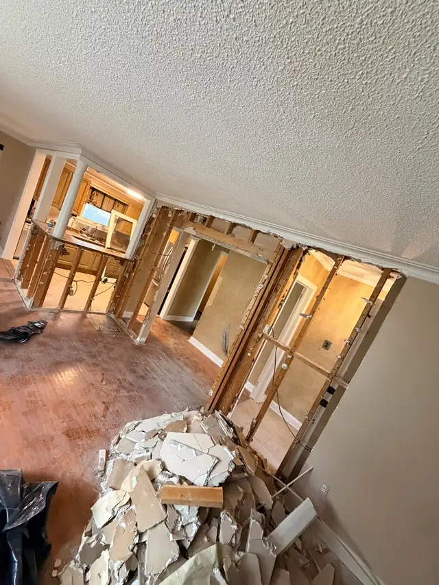 Handyman Pro Service 