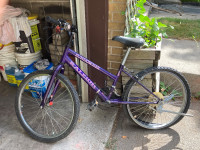 Purple Sundowner Raleigh Bicycle