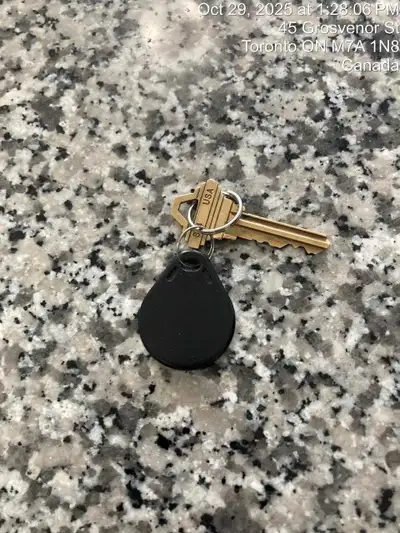 ✨️Avai-la-bull✨️, View more