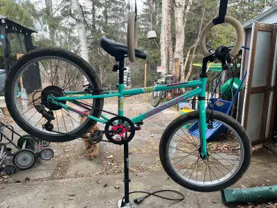 Louis Garneau 6 speed kids bicycle. Good shape. 20 in wheels. Good for kids in the 4 to 8 range. Bou...