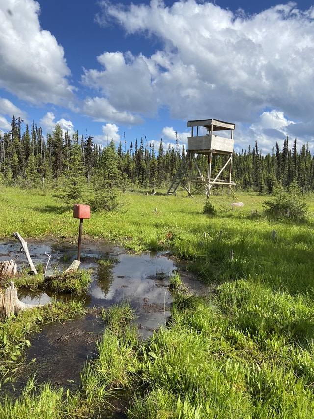 Camp de chasse bord de l’eau zone 17 Maisons à vendre Vald'Or Kijiji
