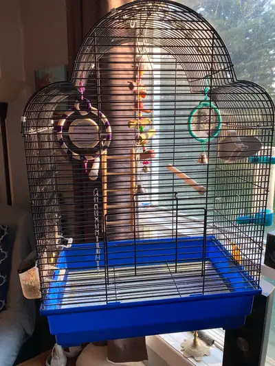 Voici une cage d'oiseau en métal noir, parfaite pour les petits oiseaux comme les perruches ou les c...