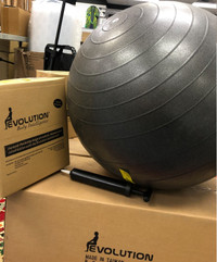 Evolution - 65cm Exercise Ball - Charcoal