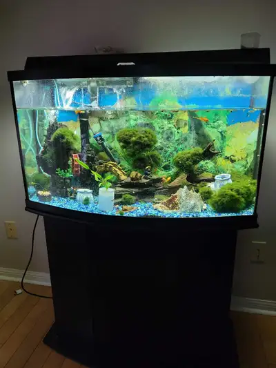 50 gallons MARINELAND curved aquarium with stand, Everything included: heater, filter, decoration et...