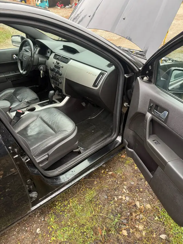 Ford focus 65449144795394124