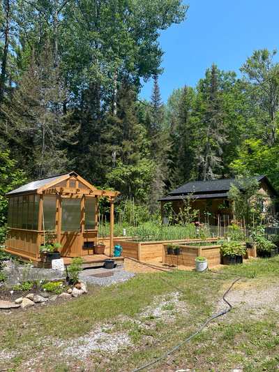 Serre de jardin en bois et bac à jardin, View more