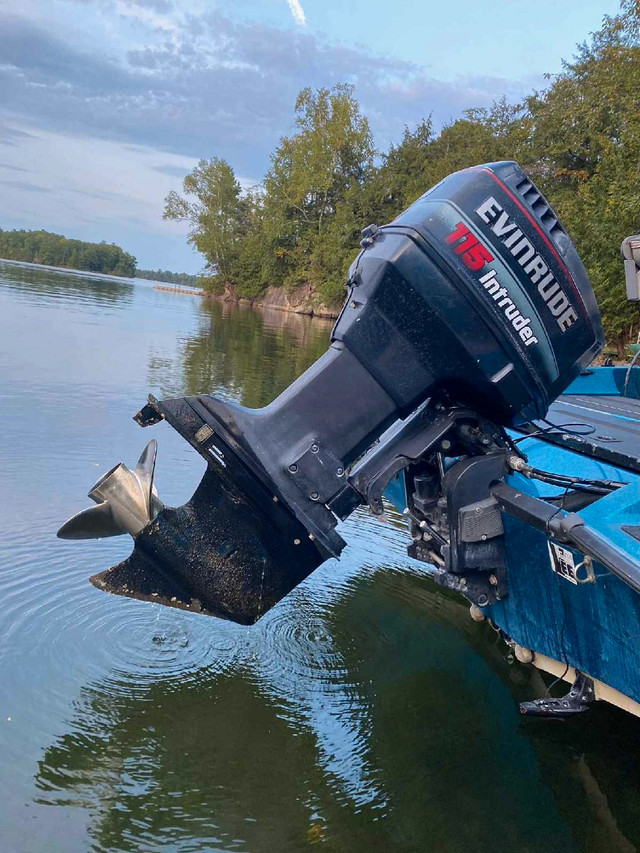 Status 268 fs fish and ski in Powerboats & Motorboats in Brockville - Image 2